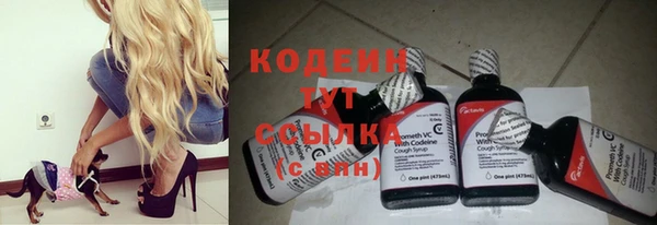 ГАЛЛЮЦИНОГЕННЫЕ ГРИБЫ Алагир