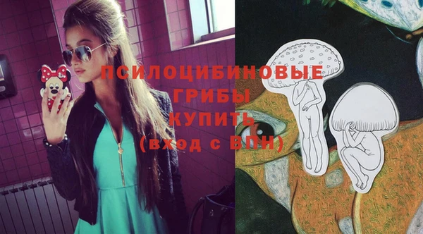 сатива Аксай