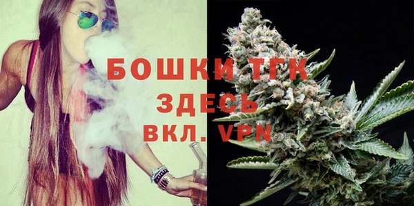 спайс Нея