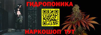 крисы Гагарин
