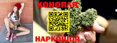 крисы Гагарин