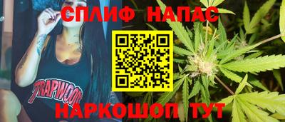 мдпв Гай