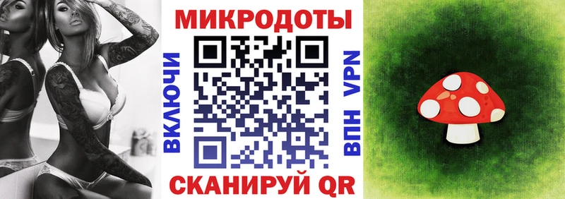 кракен как войти  Ижевск  Галлюциногенные грибы прущие грибы 