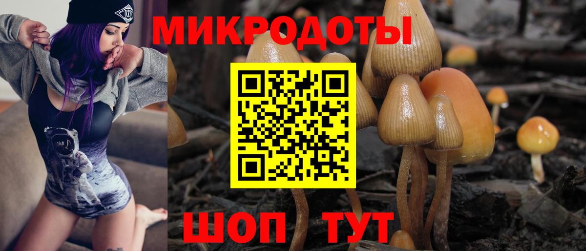Ижевск  Псилоцибиновые грибы GOLDEN TEACHER  Вход с VPN  Галлюциногенные грибы Psilocybine cubensis 