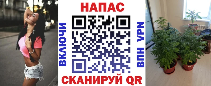 Канабис конопля Ижевск
